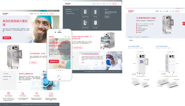 Bridging Borders, Healing Worlds: Drupal Translation and Localization of a Med Tech website